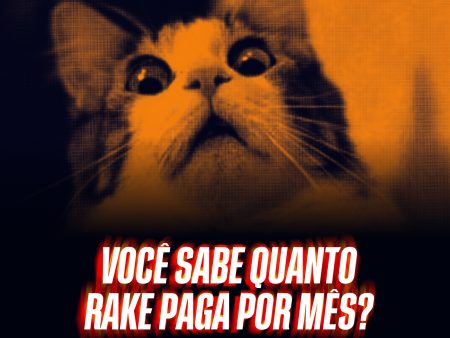 Você sabe quanto rake paga por mês? Descubra como o rakeback muda tudo